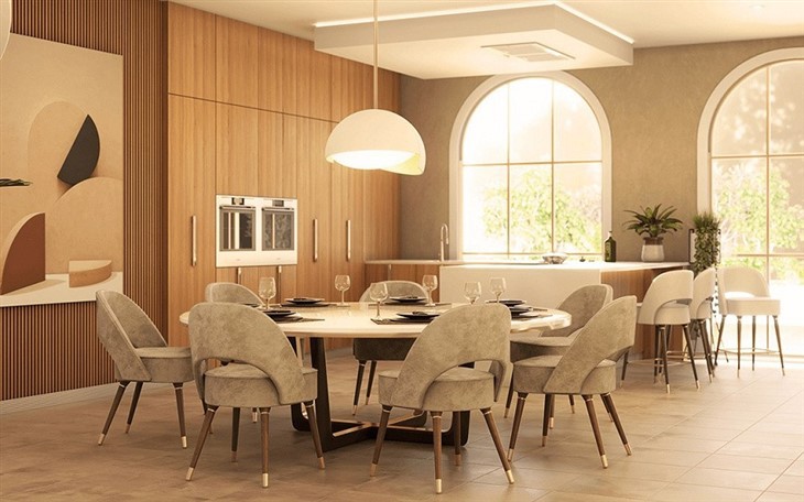 collins-dining-chair-6~1(001)